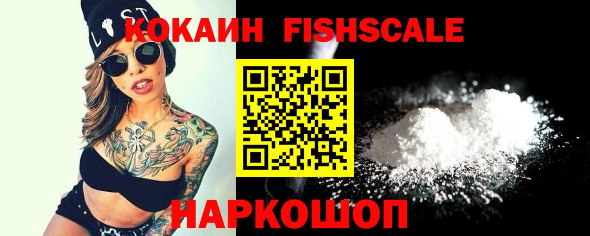 COCAIN Fish Scale  Вход с VPN  Славгород 