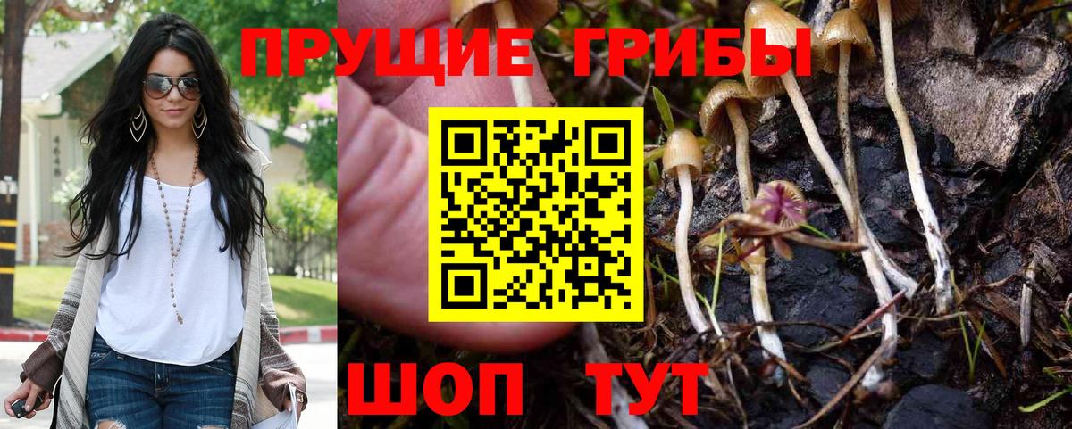 Галлюциногенные грибы MAGIC MUSHROOMS Славгород
