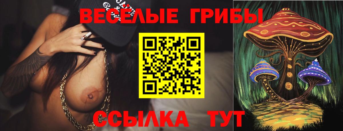 Славгород  Галлюциногенные грибы MAGIC MUSHROOMS  где купить наркотик  Вход с VPN 